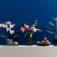 LEGO 10309 Succulents (Vetplanten) en 10311 Orchid (Orchidee) kopen? Alles wat je moet weten